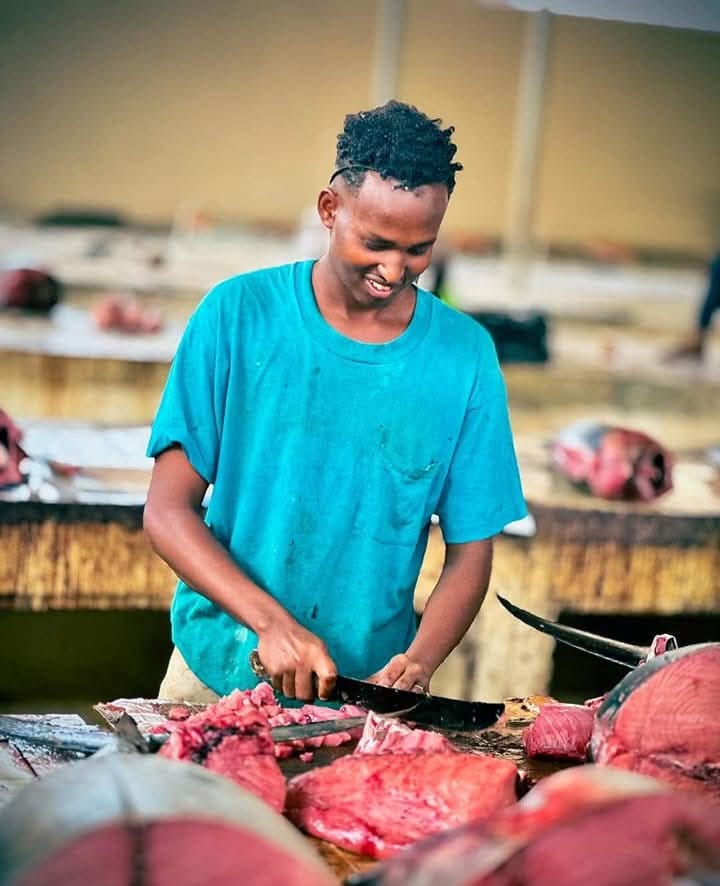 Somalia (Mogadishu/Benadir) IDP micro-enterprise outlook: 2025–2026