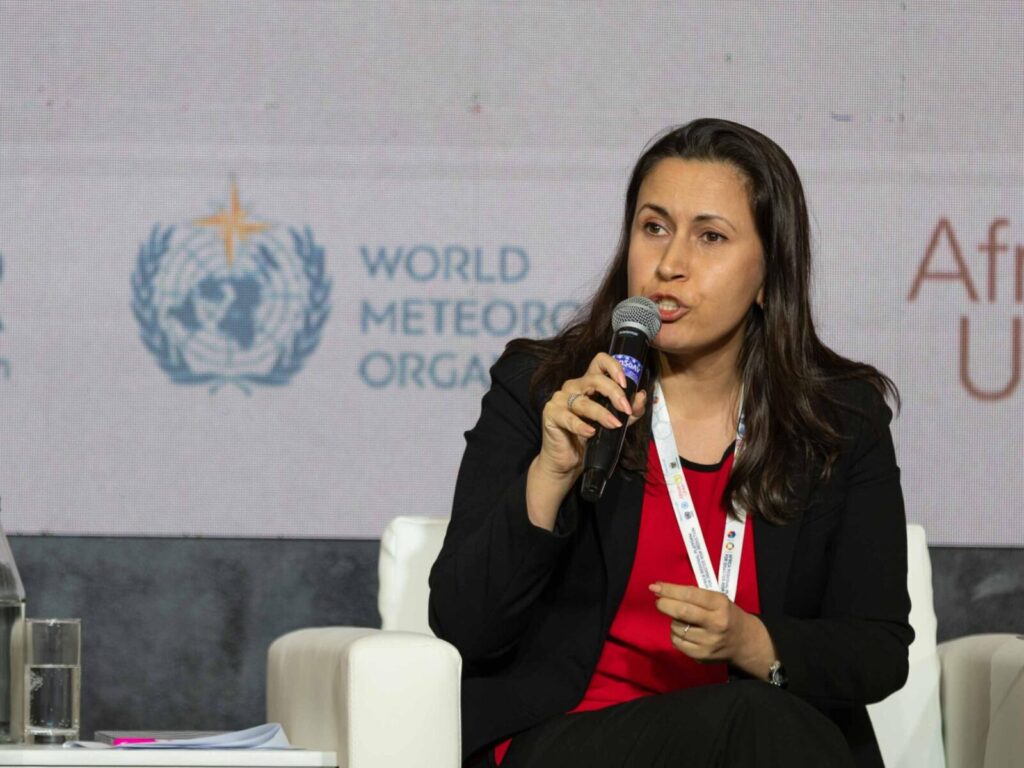 IOM Urges Diaspora Investment to Spur Africa’s Trade Corridors IOM Urges Diaspora Investment to Spur Africa’s Trade Corridors