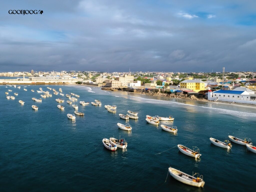 World Oceans Day: Somalia and the Untapped Promise of the Blue Economy