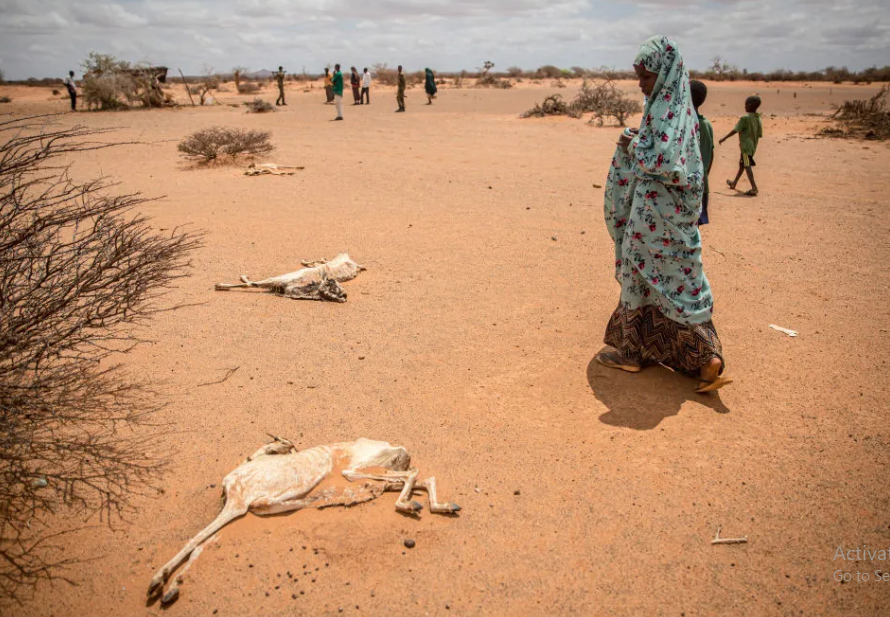 Experts Urge Early Warning Investments to Avert Climate Disasters in Horn of Africa Experts Urge Early Warning Investments to Avert Climate Disasters in Horn of Africa
