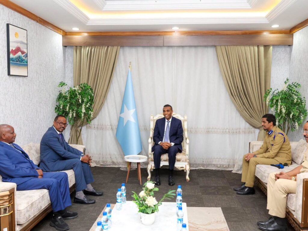 Somalia and Djibouti Seek a Broader Partnership in a Volatile Horn